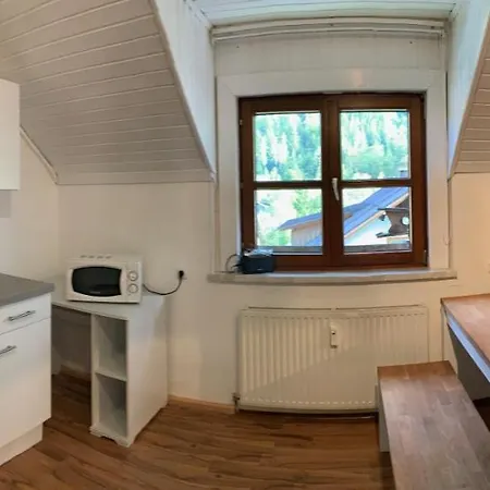 Apartment Sophia - Hallstatt Exterior photo